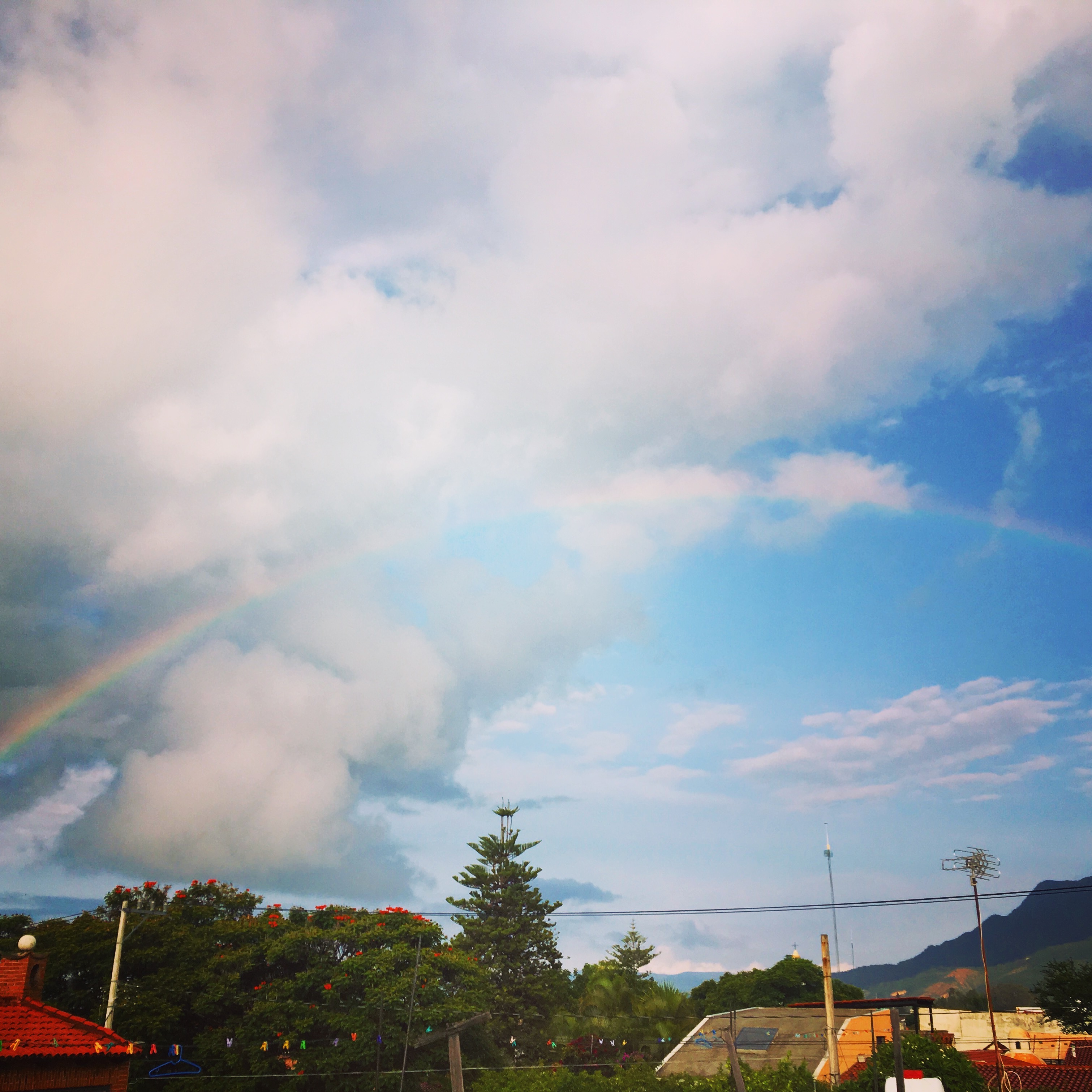 Live a miraculous life…