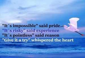 11112920_10153359213435850_1104925992112734682_n